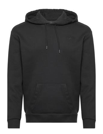Hco. Guys Sweatshirts Tops Sweatshirts & Hoodies Hoodies Black Hollister