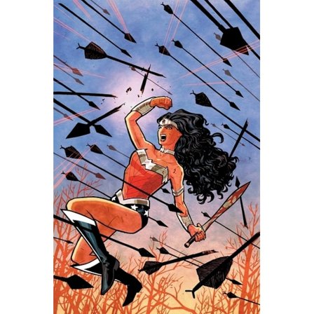 Absolute wonder woman by brian azzarello & cliff 9781401268480