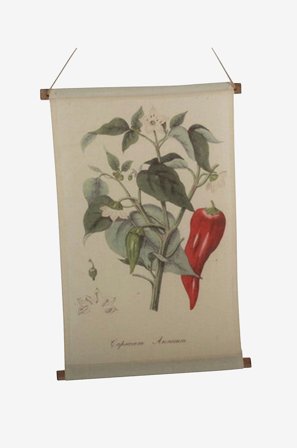 NORDFORM - Veggoppheng Chilli - Natur - Posters, bilder & skilt - Fra Homeroom
