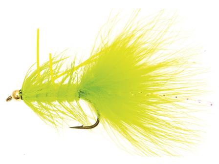 Dog Nobbler Flou Green Kamasan B170 #4