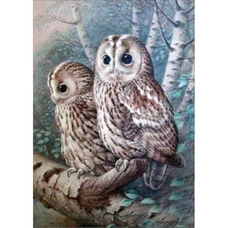 Måla efter nummer för vuxna, Diamantmålning Uggla Diamantmålning