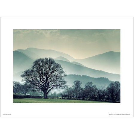 Exklusivt Art Print - Winter Tree Landscape
