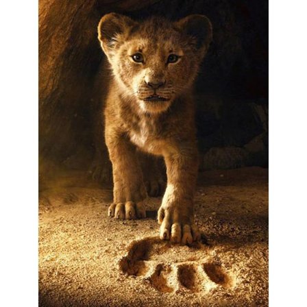 30x40cm 5D DIY Diamantmaleri Full,Løve#M Serie,DIY Diamant Rhinestone