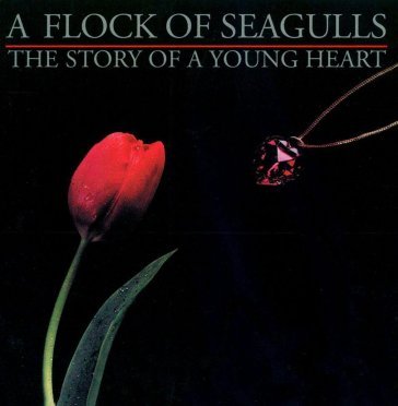 Story of a young heart A Flock Of Seagulls