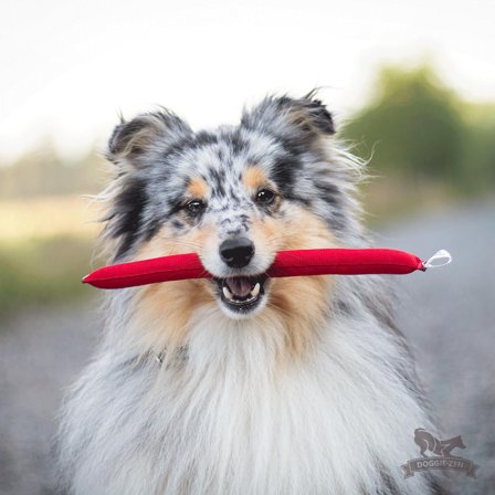 Doggie-Zen Minidummy - M