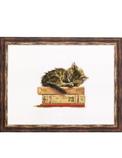 Broderipakke Bilde Sovende katt - RTO