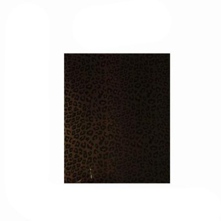Paket Med 10 Leopard Print Slithärdig Söt Present