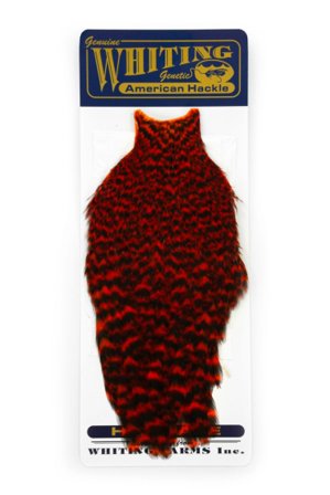 Whiting American Hen Cape Grizzly dyed Orange