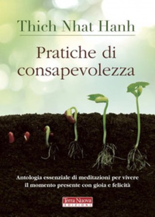 Pratiche di consapevolezza. Antologia essenziale di meditazioni per vivere il momento presente con gioia e felicità Thich Nhat Hanh