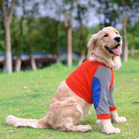 Hundeklær Pullover Klær 3XL