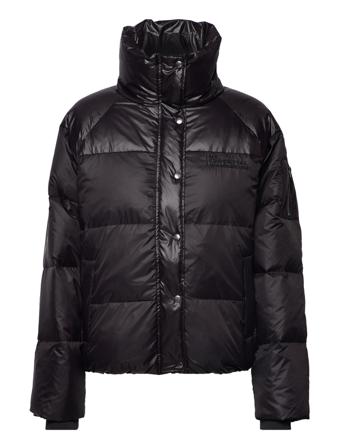 Dinamw Short Down Jacket Black My Essential Wardrobe