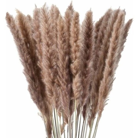 30 x Naturligt Tørret Pampasgræs, Tørrede Blomster