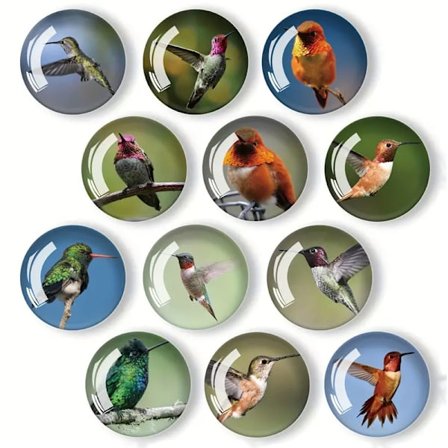 12 kpl lasimagneettia jääkaappiin, koko 35 mm (kolibri)