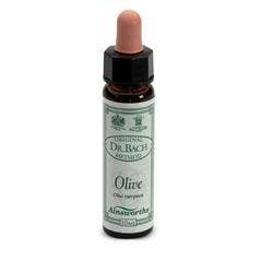 AINSWORTHS OLIVE 10ML