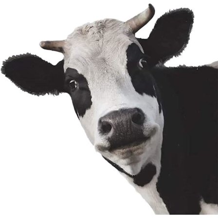 4 Stykker 3D Ku Bilklistremerker, PVC Selvklebende Vinyl Klistremerke Gris Dekaler Auto Motorsykkel Bilvindu Dør, Klistremerker Dekaler For Bil