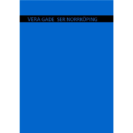 Vera Gade ser Norrköping 9789197836722