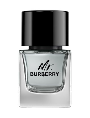Burberry Fragrance Burberry Mr Burberry Eau De Toilette - Nude - 50 ml
