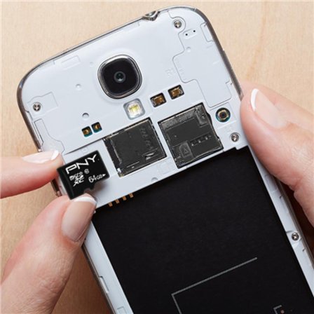 PNY Performance Plus - flashminnekort - 16 GB - microSDHC