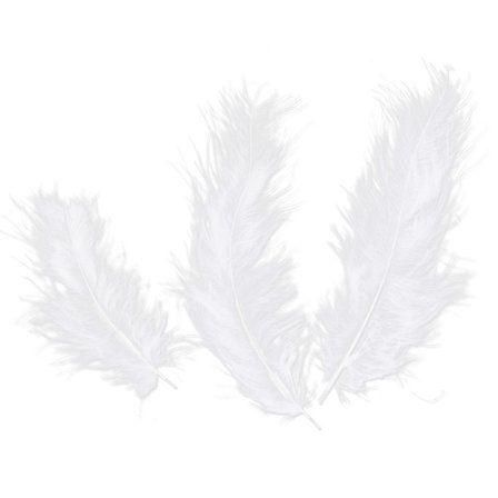 50 stk. Ægte kalkunfjer til DIY håndværk bryllup hjemmefest dekorationer (Hvid)