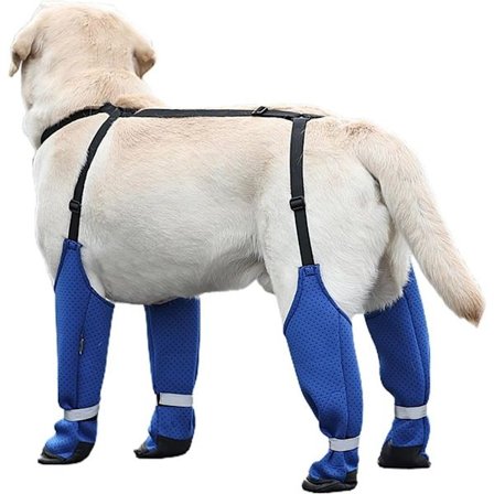 Vedenpitävät ja lämpimät koiran kengät liukuesteillä ja kiinnityshihnoilla S