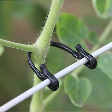 200 Trädgårdsgrönsaksväxtvinrankor Fästklämmor Bindklämma