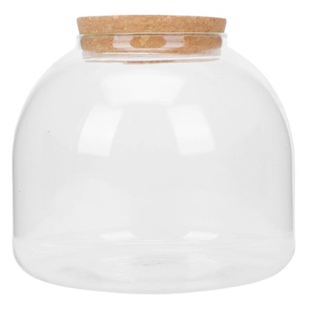 Klare Vaser Glass Blomsterpotte Glass Bonsai Potte Sukkulent Globe Terrarium Glass Planteholder