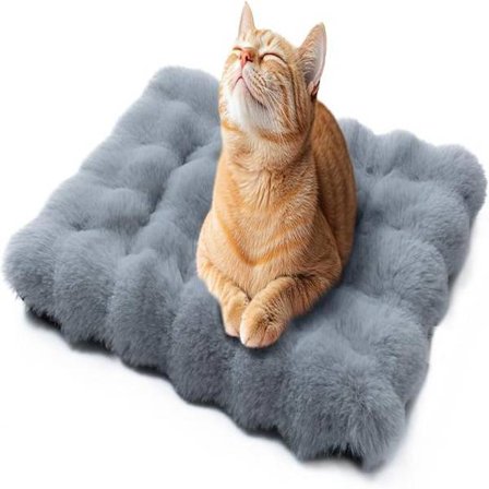 Kattbäddar för Innekatter Tvättbar Hundbur Säng Liten Platt Hundbädd Matta Fluffig Valpfilt Plysch Burmadrass