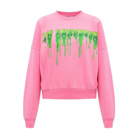 JW Anderson Printed sweatshirt Pink, Dame Sweatshirts