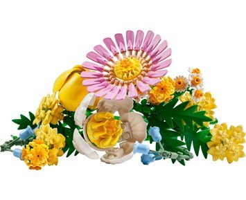 LEGO Botanicals Liten Sommarbukett 10347
