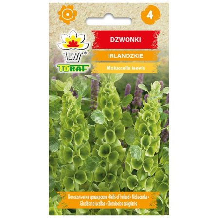 Clamshell Irish bells seed - unikke, grønne klokkeformede blomster