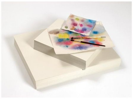 Växtpapper 400x480mm 140g 250/fp - Lyreco - Skola och förskola - Hobbypapper - Växtpapper