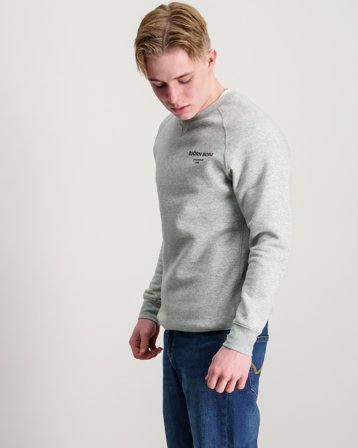 Björn Borg BORG ESSENTIAL 1 SWEATSHIRT Szary Swetry Chłopiec - Kids Brand Store