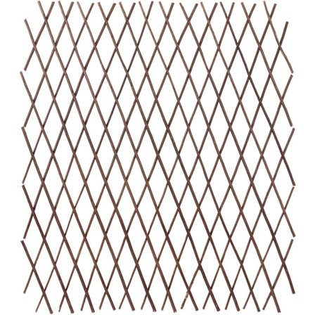 Haverelæ, udtrækkelig espalier, pilehegn, udtrækkelig træ_xx