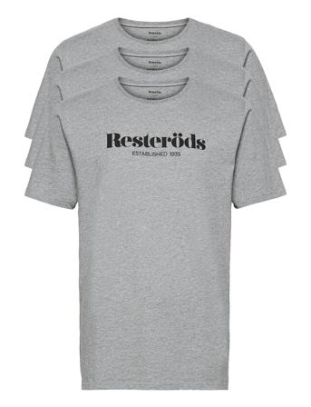 T-Shirt W. Print Rs Grey Resteröds