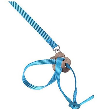 Papukaija Lintupanta Valjaat Lizard Vetoköysi SININEN