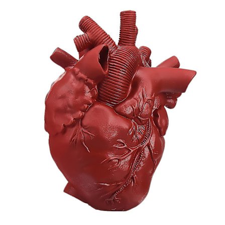 Punainen sydämen muotoinen kukkaruukku, kuivattu vartaloveistos, hartsi