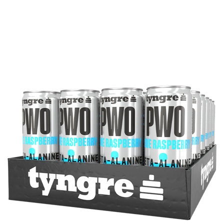 24 x Tyngre PWO 250 ml