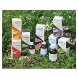 Raemil Piantaggine Macerato Idroalcolico 100ml