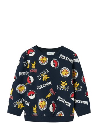 name it | Nmmsilo Pokemon Nreg Sweat Bru Sky | 110