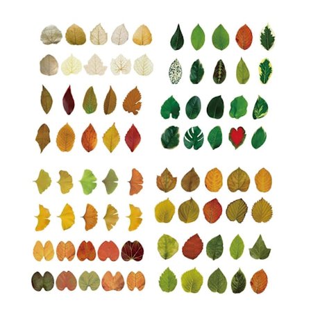 8 Rullar Specialformad Lövtejp Sommar Höst Gröna Växter Dekorativ Klistermärke Scrapbook Journal DIY Hantverkspresent