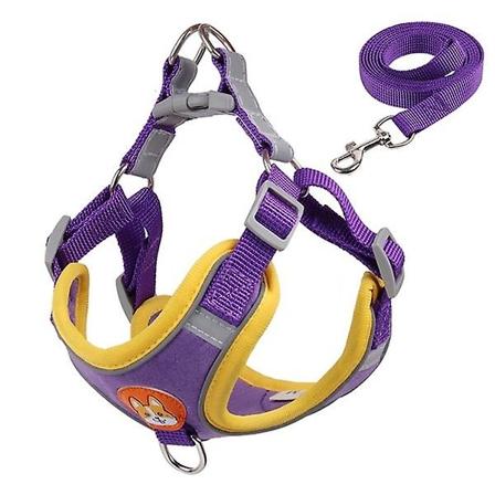 Hundsele, flyktssäker, dragfri västsele, reflekterande justerbar mjuk vadderad husdjurssele Purple S