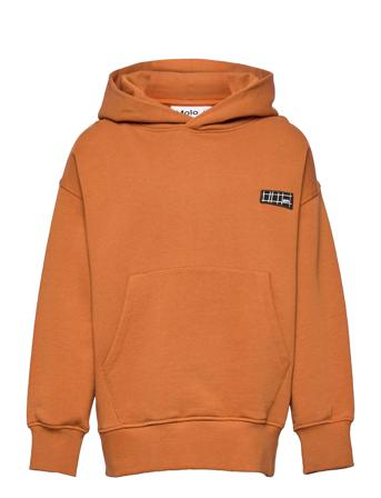 Moz Orange Molo