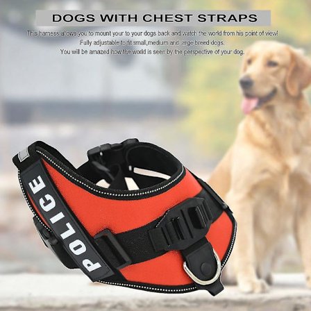 Justerbart Koppel för Hundar med Tripod för Sport-DV-Kamera