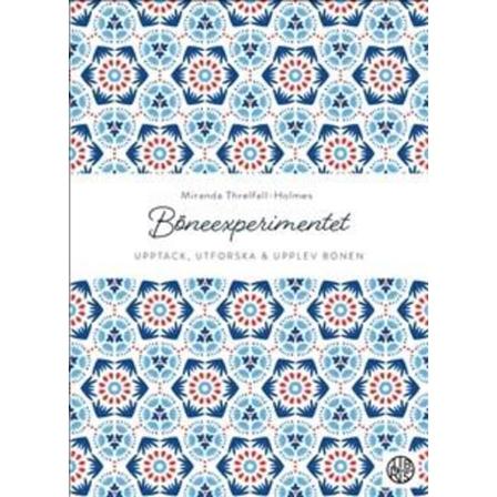 Böneexperimentet 9789173875615