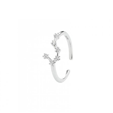 JUSTUP Horoskopring i 925 Sterling Silver Statement Ring för Kvinnor 12 Konstellation Astrologi Justerbar Ring - Oxen