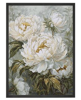 Stickpackung Bild Das Licht der Frühlingspfingstrosen