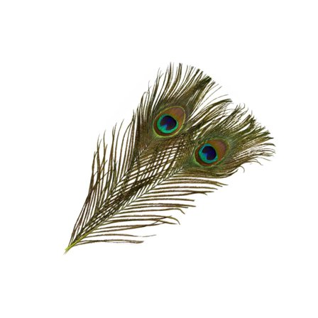 Frödin SNS Peacock Eye Feathers - Greenlander Green