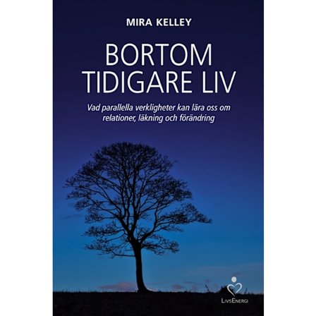 Bortom tidigare liv 9789187505478