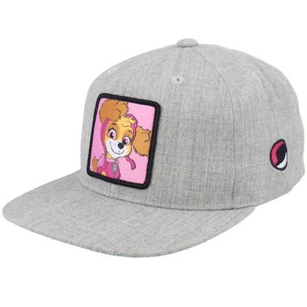 Kinder PAW Patrol - Grau snapback Cap - Kinder Skye Patch Heather Grey Snackback @ Hatstore