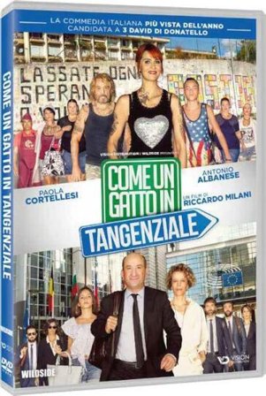 Come Un Gatto In Tangenziale